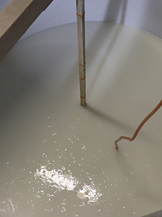 �����̎ʐ^